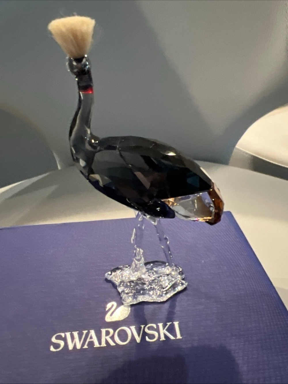 SWAROVSKI CRYSTAL SCS 2021
Grey Crowned CRANE 5557894
MIB